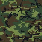 Camouflageverf met ziekmakend chroom-6