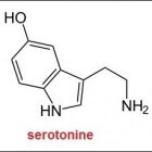 Het gelukshormoon serotonine: Depressie door een tekort