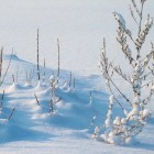 Winterproblemen: feiten of fabels?