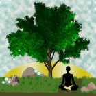 Mindfulness, meditatie en automatische gewoontepatronen