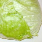IJsbergsla, een belangrijke basis voor een salade