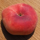 De geneeskracht van perziken