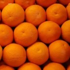 De verschillende soorten citrusfruit