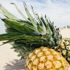 Is ananas gezond?