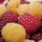 Het meest gezonde fruit (onderzoek door DiSanto)