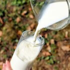 Is geitenmelk beter dan koemelk, voor je baby of dreumes?