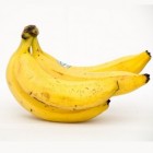 De tropische banaan, gezond en lekker