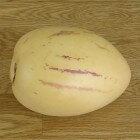 Onbekende vrucht: pepino of meloenpeer