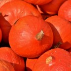 Pompoenen: Voordelen voor gezondheid van vrucht pompoen