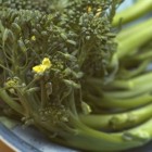 Bimi (broccolini): gezondheidsvoordelen en voedingswaarde