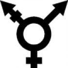 Transseksualiteit: genderteams