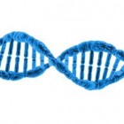 DNA veranderen met CRISPR-CAS9: ethisch aspect gentherapie
