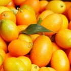 De geneeskracht van kumquat