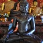 Boeddha in vele vormen