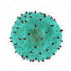 Immunotherapie: kanker behandelen door T-cellen te activeren