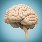 Hypopituïtarisme: beschadigde hypofyse, ontregelde hormonen