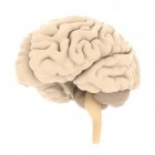 Occipitalis neuralgie: tintelend, stekend hoofd en oogpijn!