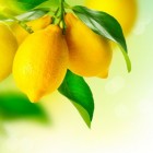 Afvallen met citroen