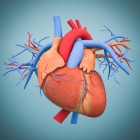 Wat is een coronarografie of hartkatheterisatie?