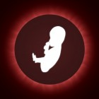 Zwanger: 13 tot 25 weken. Ontwikkeling