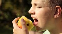 In plaats van in een appel op je tong of wang gebeten? Calendula helpt kleine wondjes in de mond snel herstellen. / Bron: Sipa, Pixabay