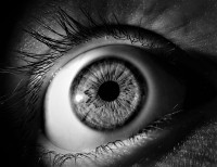 Nachtblindheid veroorzaakt een minder goed zicht bij schemering of 's nachts. / Bron: Blueberrykings111, Pixabay
