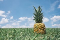 Ananas is gezond! / Bron: Pineapplesupplyco, Pixabay