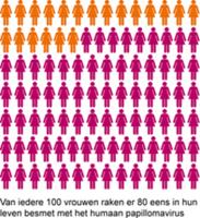 Bron: Rivm.nl HPV besmetting