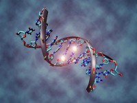 Visualisatie beschadiging DNA (dubbele helix) / Bron: Christoph Bock, Wikimedia Commons (CC BY-SA-3.0)