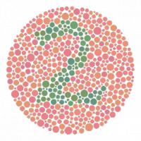 Testfiguur. Als je 74 ziet, dan zie je alle kleuren. Zie je 21 of helemaal geen getal, dan heb je een vorm van kleurenblindheid / Bron: Sakurambo, Wikimedia Commons (CC BY-2.5)