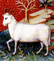 Ram / Bron: Onbekend, Wikimedia Commons (Publiek domein)