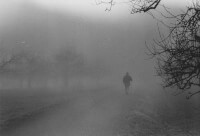 In de mist lopen heeft zijn eigen bekoring / Bron: UnreifeKirsche, Wikimedia Commons (CC BY-SA-3.0)