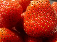 Strawberry skin? / Bron: Hans, Pixabay