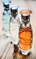 Het is verstandig om geen sterke parfum te gebruiken / Bron: Monicore, Pixabay