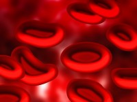 Rode bloedcellen (erytrocyten)  / Bron: Geralt, Pixabay