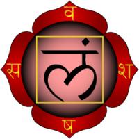 Muladhara-chakra met de vier lotusblaadjes / Bron: Onbekend, Wikimedia Commons (CC BY-2.5)