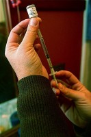 Vaccinatie tegen hondsdolheid (rabiës) / Bron: Stevendepolo, Flickr (CC BY-2.0)