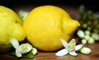 Het aromatisch effect van citroen / Bron: Ulleo, Pixabay