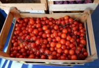 Tomaten op de markt Mercado da Baixa te Lissabon (Portugal) / Bron: Martin Sulman