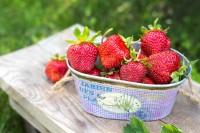 Aardbeien bevatten vitamine C / Bron: FotoMirta/Shutterstock.com
