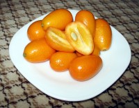 Vruchten van de Chinese Kumquat / Bron: Publiek domein, Wikimedia Commons (PD)