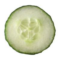 Plakje komkommer / Bron: ViZZZual.com, Wikimedia Commons (CC BY-2.0)