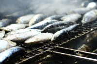 Sardines zijn rijk aan omega-3-visvetzuren / Bron: Paul Joseph from vancouver, bc, canada, Wikimedia Commons (CC BY-2.0)