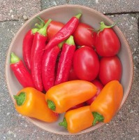 Peper, tomaatjes en paprika / Bron: Martin Sulman