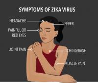 Zika-virus symptomen / Bron: Beth.herlin, Wikimedia Commons (CC BY-SA-4.0)