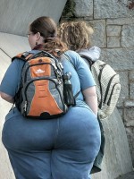 Obesitas is een risicofactor voor het metabool syndroom / Bron: Nevit Dilmen, Wikimedia Commons (CC BY-SA-3.0)