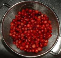 Cranberry's / Bron: Tracy, Wikimedia Commons (CC BY-2.0)