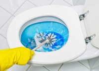 Schuimende urine kan komen door toiletreinigers / Bron: Lisa S./Shutterstock.com