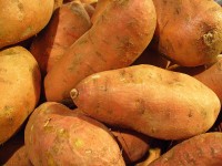 Zoete aardappelen / Bron: Llez, Wikimedia Commons (CC BY-SA-3.0)