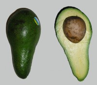 Avocado / Bron: Marco.Finke, Wikimedia Commons (Publiek domein)